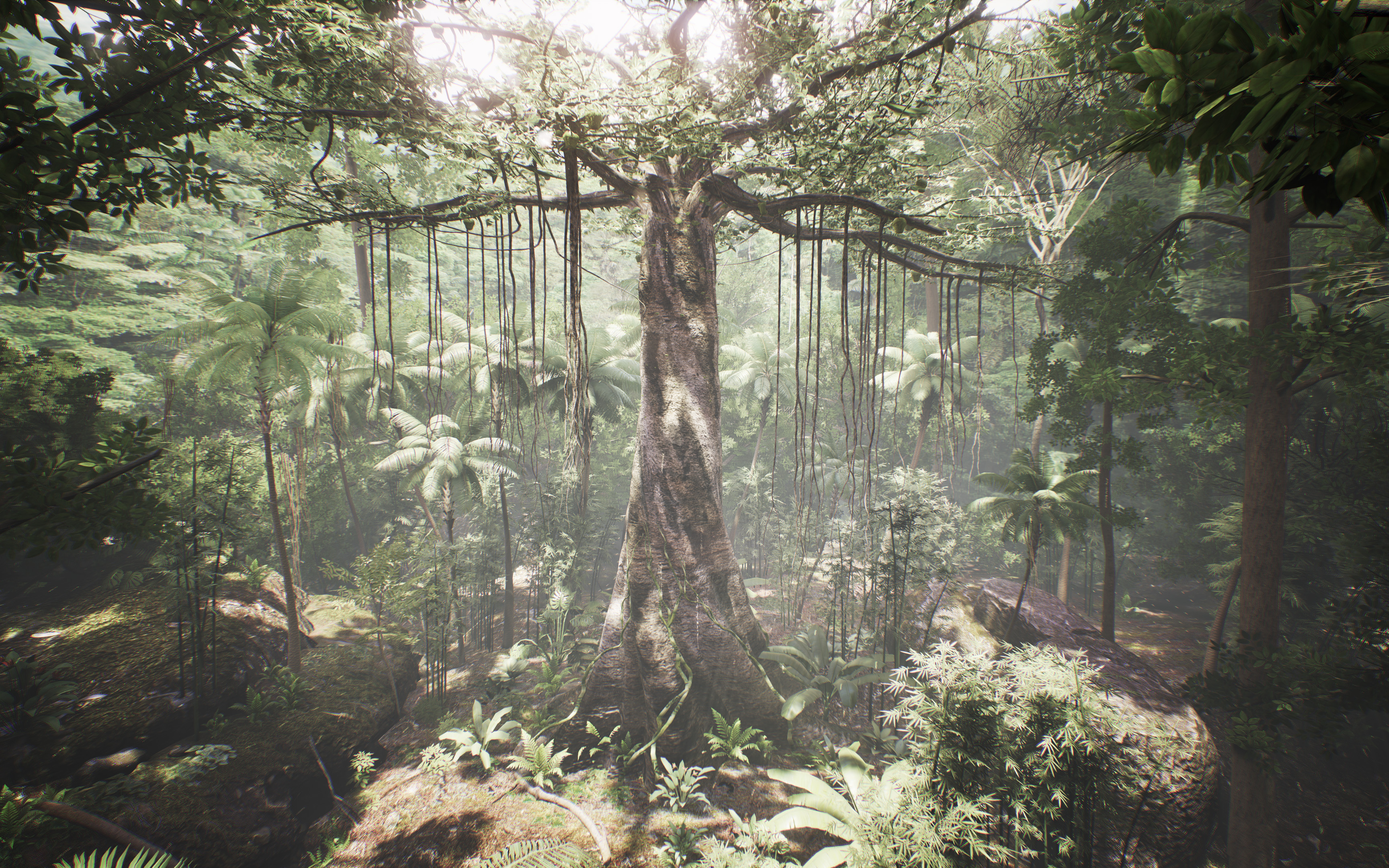 Rainforest: An Interactive Experience, Nature