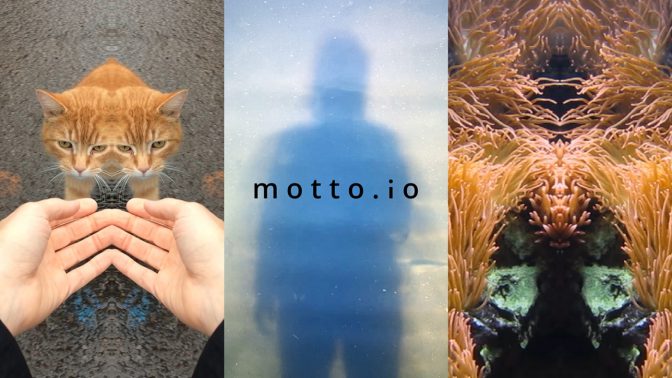Three images next to each other where the first is a cat the second is a human's shadow and the third is a coral reef