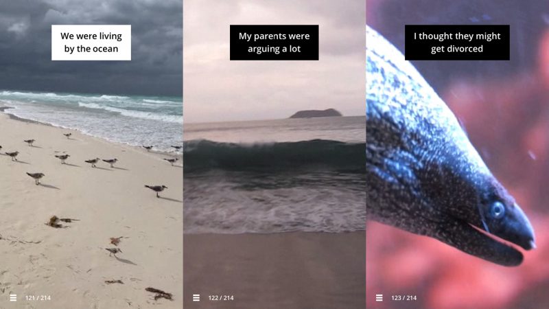 Three images, first is a beach with birds that says "We were living by the ocean", the second is a different beach that says "My parents were arguing a lot", and the third is the head of a sea creature under water that says "I thought they might get divorced"